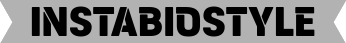 instabiostyle