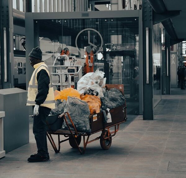 digital platform contact number